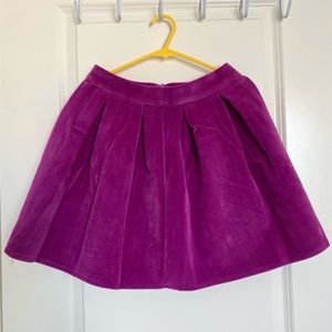 Velvet Skirt